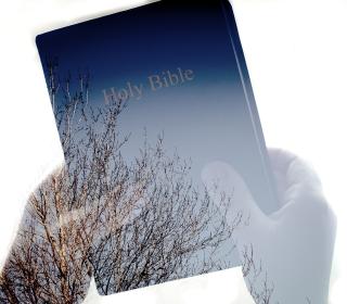 Transparent closeup of hands holding Bible with trees showing through