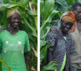 A diptych showing portraits of two women farmers in Ethiopia, both middle-aged Black women, standing in their fields against the brilliant green of corn stalks, smiling, with their hair tied in scarfs. One of the women appears with her husband.