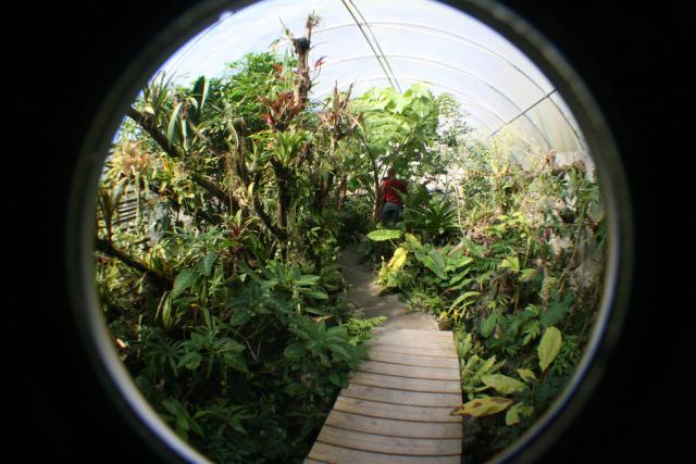 A view inside a greenhouse, captured within a circular frame.