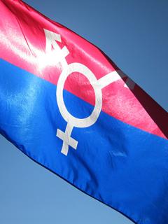 Transgender flag