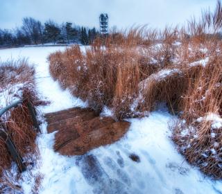 A dusting of snow covers the wooden steps leading down to a frozen pond surrounded by dry reeds. A bell tower is in the distance.