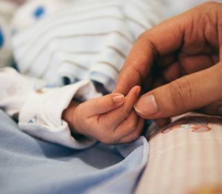 An adult hand hold the hand of an infant, which appears tiny and vulnerable..