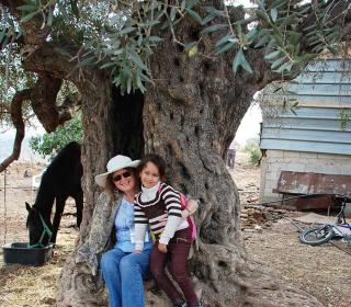 Rev. Juanita Austin and a little Palestinian girl cuddled up in a 1,000 year old olive tree. 