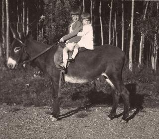 The mother for General Secretary Nora Sanders (closest to the front of the donkey) rides a donkey in Colombia, circa 1920.
