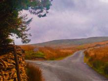 A fork in the road in foggy, autumn hills.