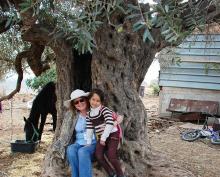 Rev. Juanita Austin and a little Palestinian girl cuddled up in a 1,000 year old olive tree.