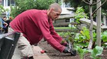Person planting in a garden