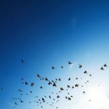 Photo by Rowan Heuvel on Unsplash