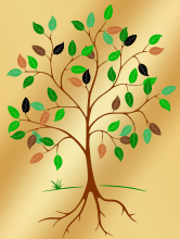 A drawing of a tree with leaves and roots.