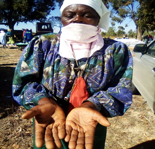 Woman tending gardens in Zimbabwe