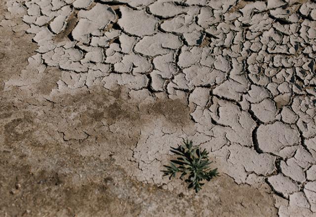 Cracked dry ground in desert area