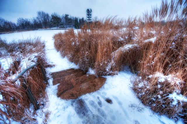 A dusting of snow covers the wooden steps leading down to a frozen pond surrounded by dry reeds. A bell tower is in the distance.