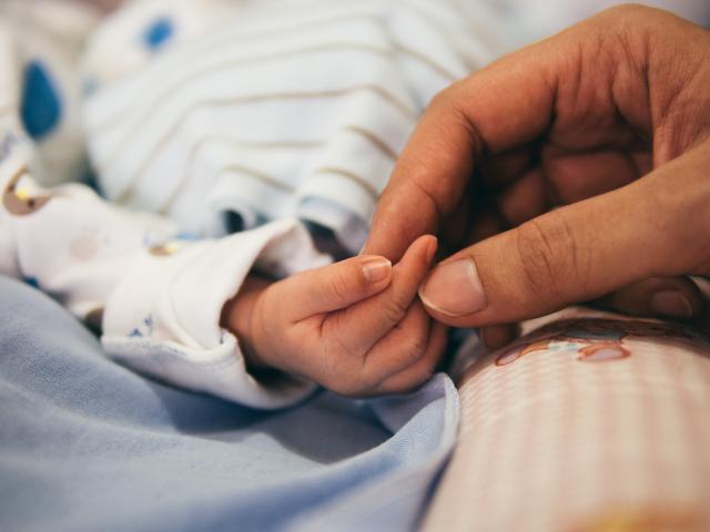 An adult hand hold the hand of an infant, which appears tiny and vulnerable..