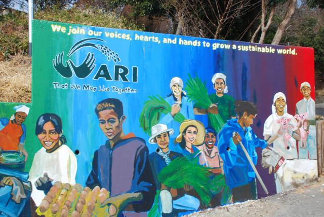 A mural at the Asian Rural Institute by artist Iris Burbank depicts the ARI motto, "That we may live together." A colourful mural at the Asian Rural Institute depicting its motto “That we may live together.”