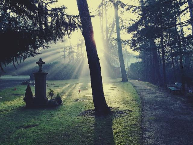 Path through cemetery