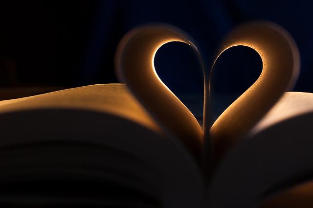 An illustration of a heart unfolding, in black and brown.